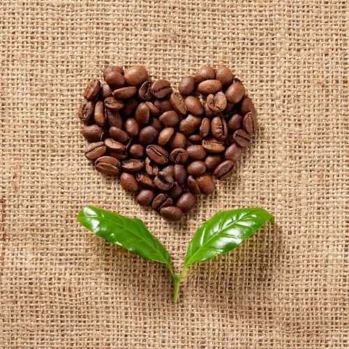 Café Zéro Déchet : 8 Idées Simples pour la Maison et le Bureau - Subtile café